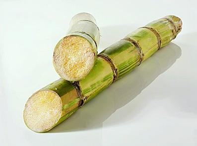 ���ڳ�ˮ�����v�� �����ЋD��ˮ���ڰ�����